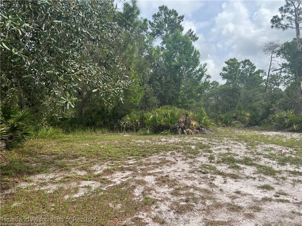 3259 Forrest Ave, Lake Placid, FL 33852 - photo 2