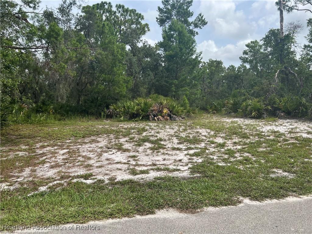 3259 Forrest Ave, Lake Placid, FL 33852 - photo 1