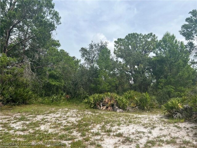 3259 Forrest Ave, Lake Placid, FL 33852 - photo 3