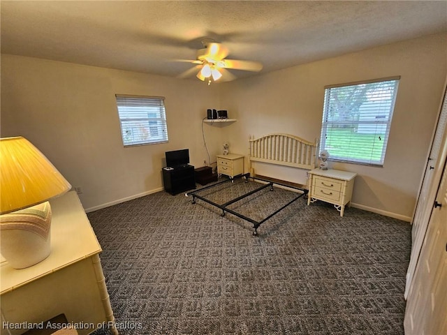 239 NW Grape Rd, Lake Placid, FL 33852 - photo 13