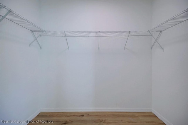 spacious closet with light wood finished floors