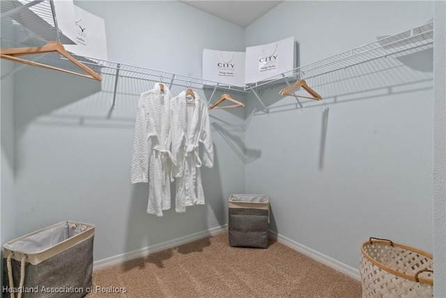 6856 Coconut Dr, Sebring, FL 33872 - walk in closet featuring carpet flooring
