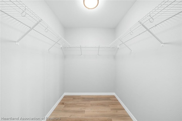 spacious closet featuring hardwood / wood-style floors