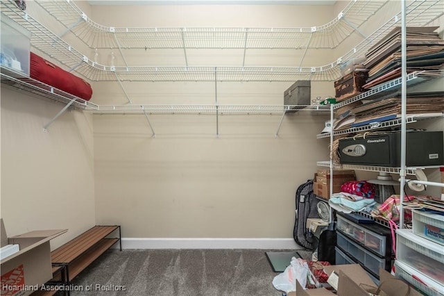 walk in closet featuring dark colored carpet