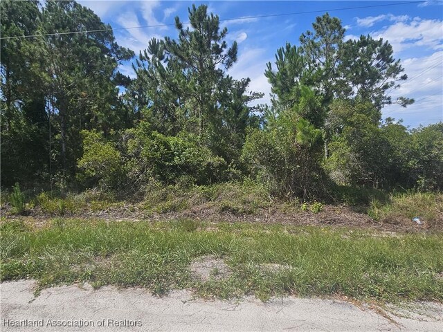 1872 Grey Oak Ln, Lorida, FL 33857 - photo 19