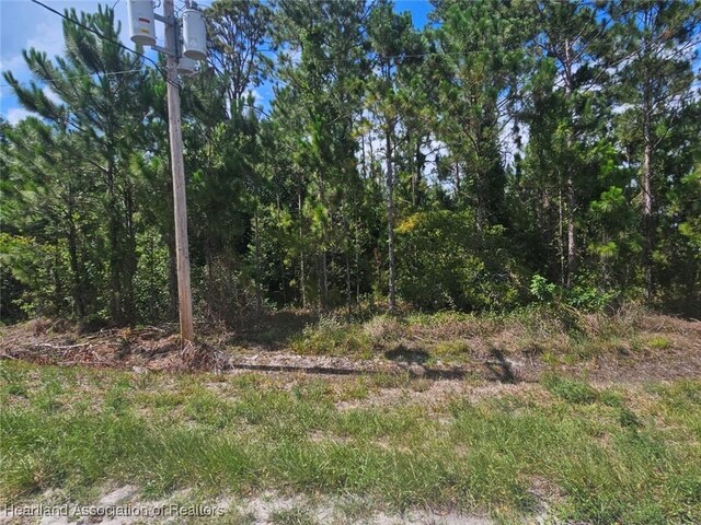 1872 Grey Oak Ln, Lorida, FL 33857 - photo 25
