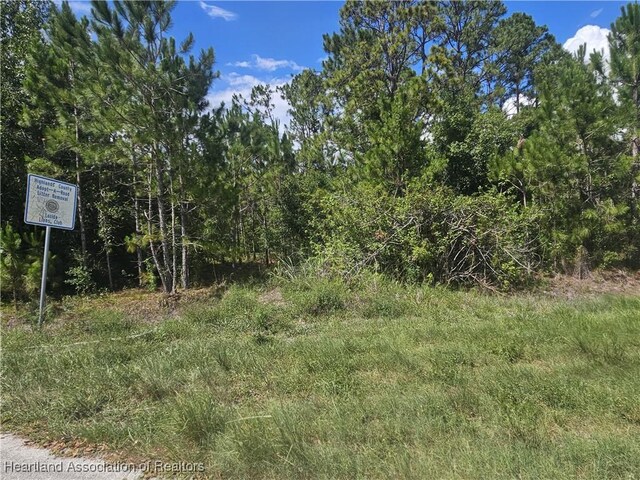 1872 Grey Oak Ln, Lorida, FL 33857 - photo 20