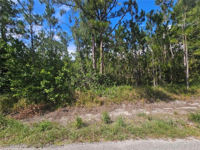 1872 Grey Oak Ln, Lorida, FL 33857 - photo 21