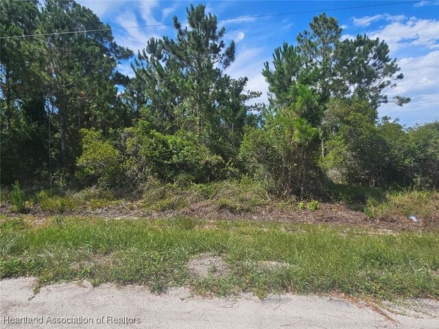 1872 Grey Oak Ln, Lorida, FL 33857 - photo 23