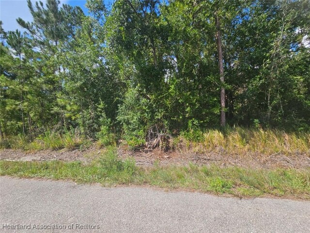 1872 Grey Oak Ln, Lorida, FL 33857 - photo 22
