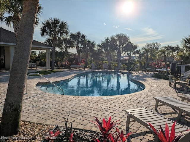 view of pool featuring a patio