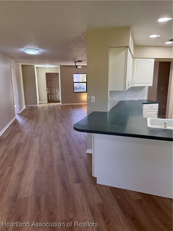 1024 W Lake Damon Dr, Avon Park, FL 33825 - photo 12