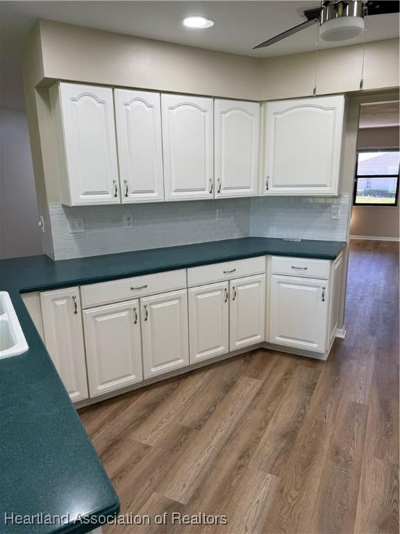 1024 W Lake Damon Dr, Avon Park, FL 33825 - photo 14