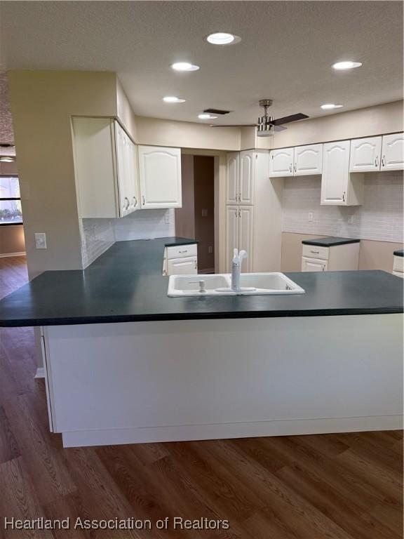 1024 W Lake Damon Dr, Avon Park, FL 33825 - photo 13