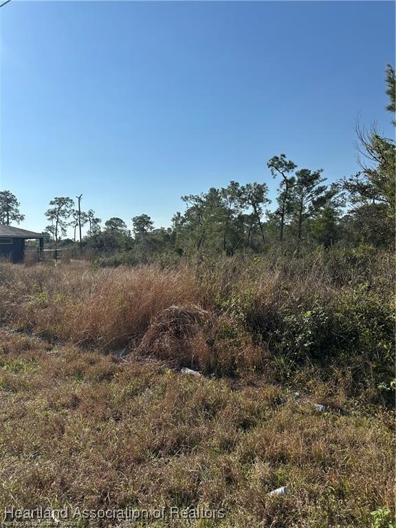 1925 Alan St, Sebring, FL 33875 - photo 3