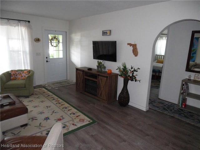 1605 Lake Clay Dr, Lake Placid, FL 33852 - living room featuring arched walkways, wood finished floors, and baseboards