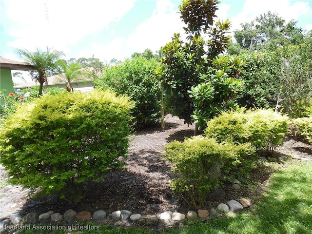 1605 Lake Clay Dr, Lake Placid, FL 33852 - view of yard