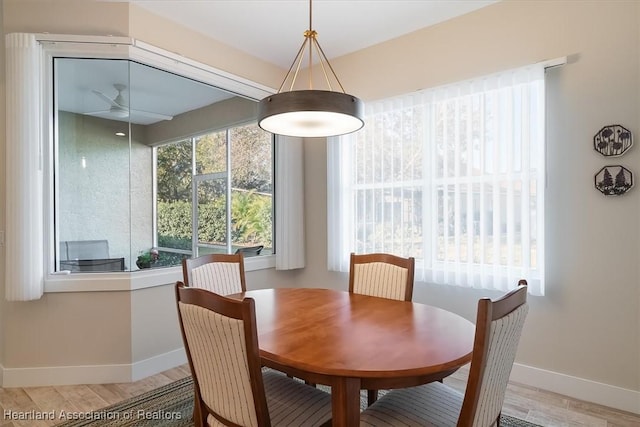 dining area with ceiling fan and hardwood / wood-style floors