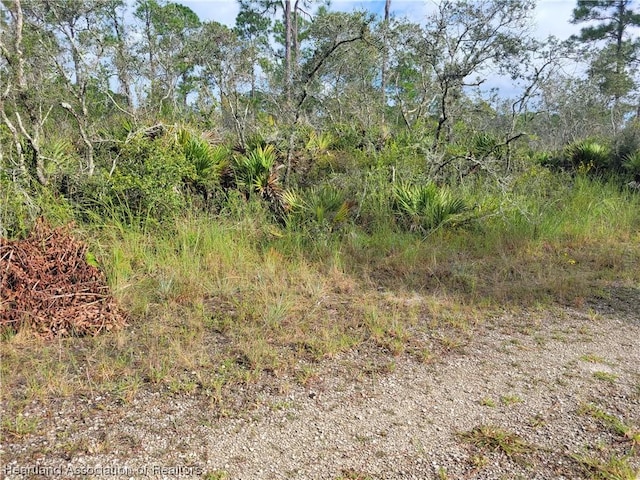 656 Neale St, Lake Placid, FL 33852