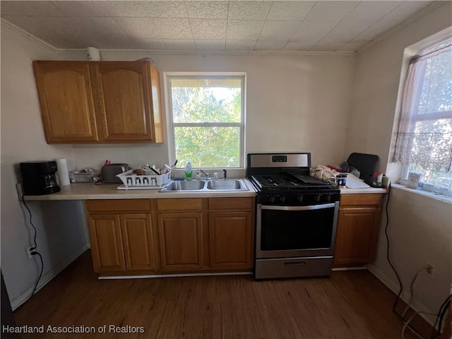 kitchen featuring stainless steel gas stove, ornamental molding, sink, and dark wood-type flooring