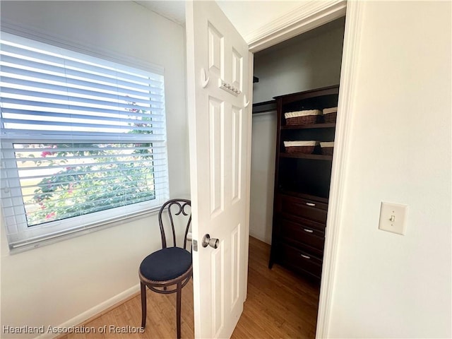 view of closet