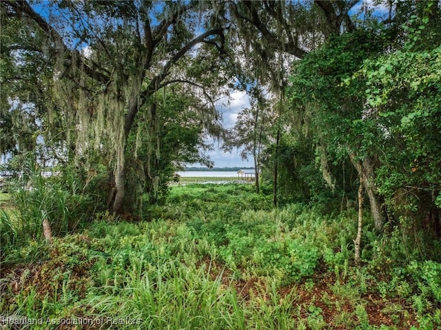 2834 Oak Blvd, Sebring, FL 33875 - photo 4