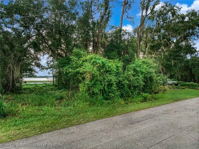 2834 Oak Blvd, Sebring, FL 33875 - photo 13