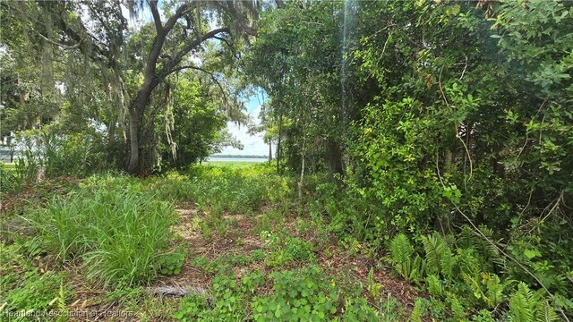 2834 Oak Blvd, Sebring, FL 33875 - photo 10