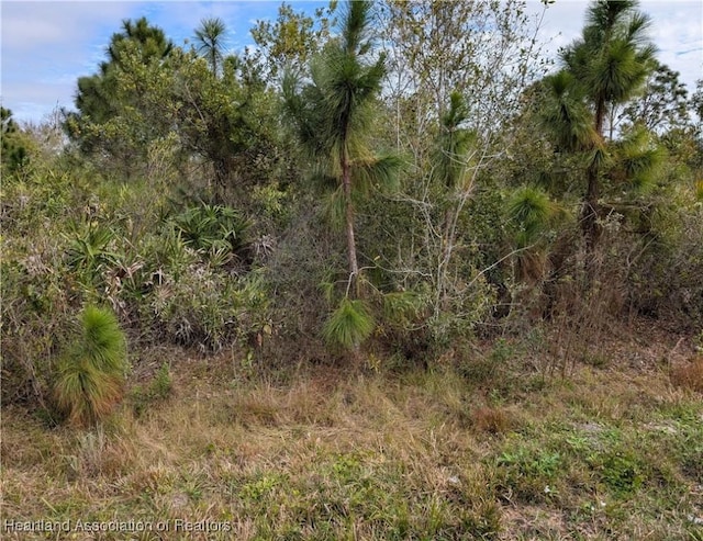 0 NE 1st St, Okeechobee FL, 34972 land for sale