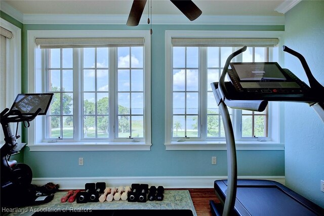 1831 Lakeview Dr, Sebring, FL 33870 - workout room featuring a ceiling fan, dark wood-style floors, ornamental molding, and baseboards