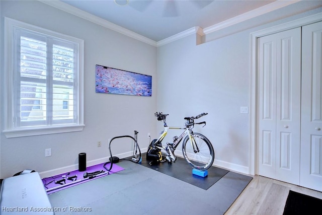 3013 Royal Oaks Ct, Sebring, FL 33875 - exercise area with ornamental molding and wood finished floors