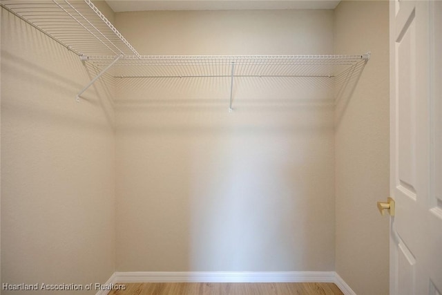 4001 Simca St, Sebring, FL 33872 - walk in closet with light wood-style flooring
