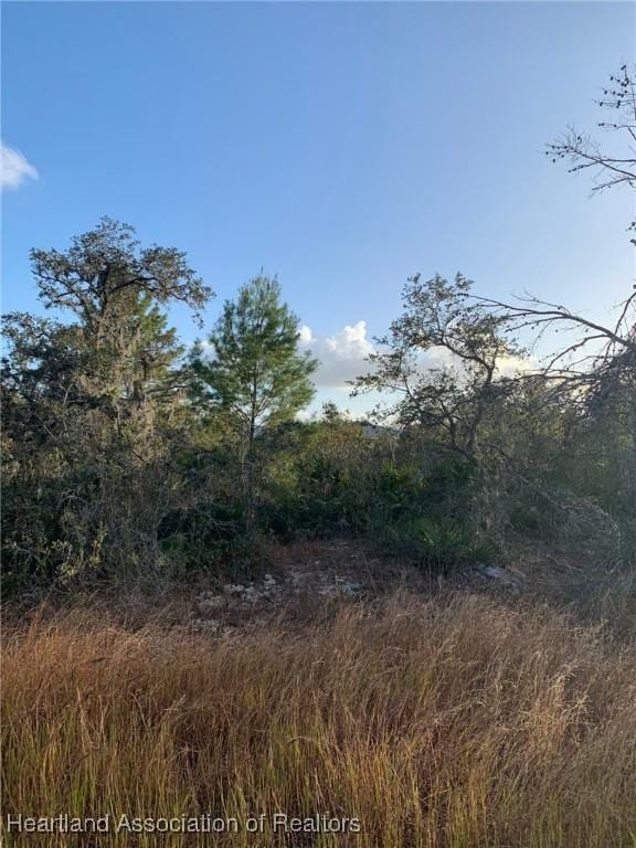 2907 W Seville Dr, Avon Park, FL 33825 - photo 1