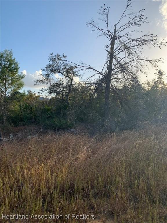 2907 W Seville Dr, Avon Park, FL 33825 - photo 4