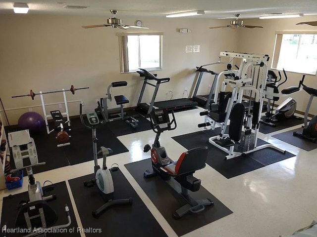 workout area featuring a healthy amount of sunlight and a ceiling fan