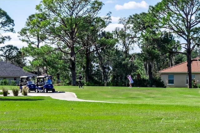 view of community featuring a lawn