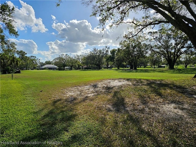 view of yard