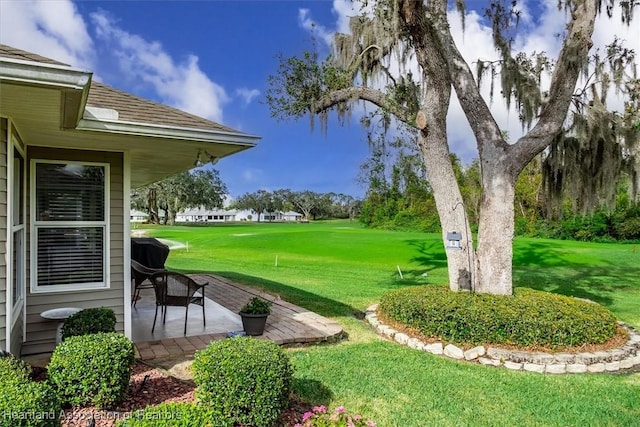 view of yard featuring a patio area