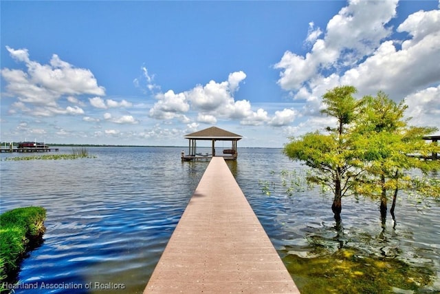 343 Catfish Rd, Lake Placid, FL 33852 - photo 40