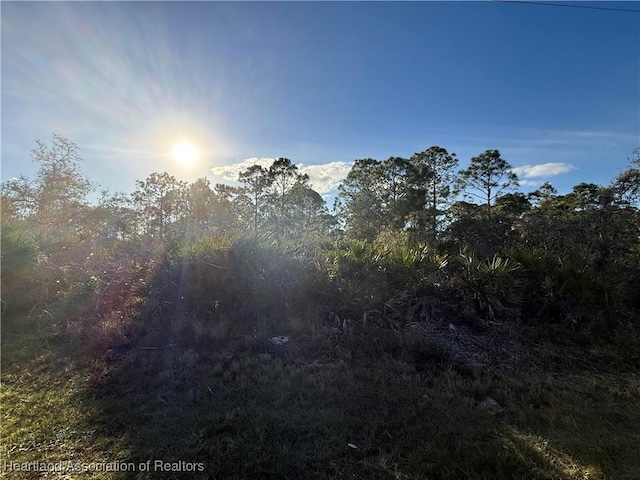 60 S Riverdale Rd, Avon Park FL, 33825 land for sale