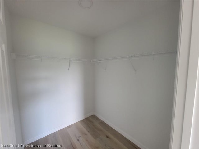 spacious closet with light hardwood / wood-style flooring