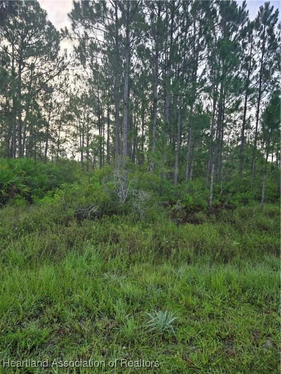 660 Seneca Dr NW, Lake Placid, FL 33852