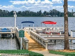 32 Meadowlake Cir N, Lake Placid, FL 33852 - photo 47