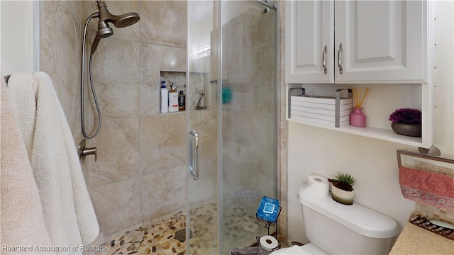 1102 W Gibson St, Arcadia, FL 34266 - bathroom featuring a shower stall and toilet