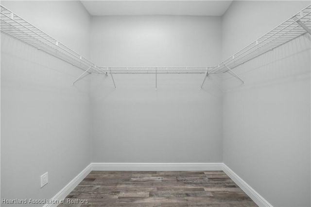 walk in closet with hardwood / wood-style flooring