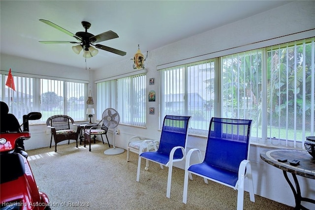 3845 Sebring Pkwy, Sebring, FL 33870 - photo 23
