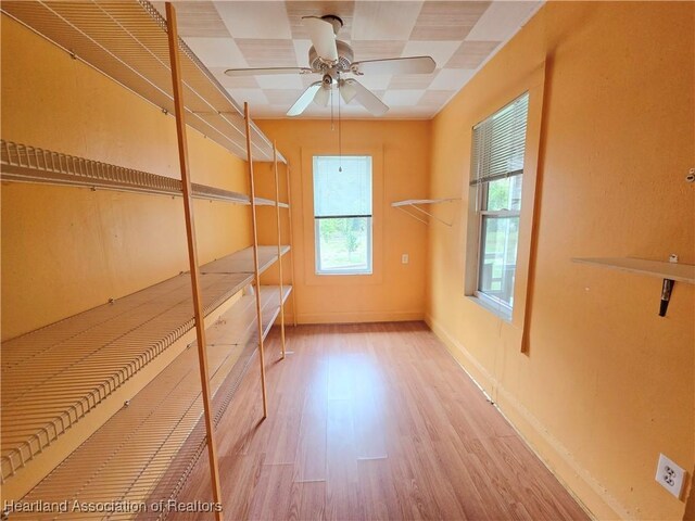 empty room featuring ceiling fan and light hardwood / wood-style flooring