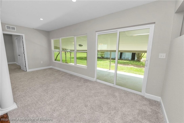 spare room featuring plenty of natural light and light carpet