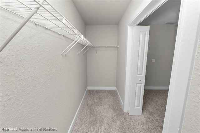 spacious closet with light carpet