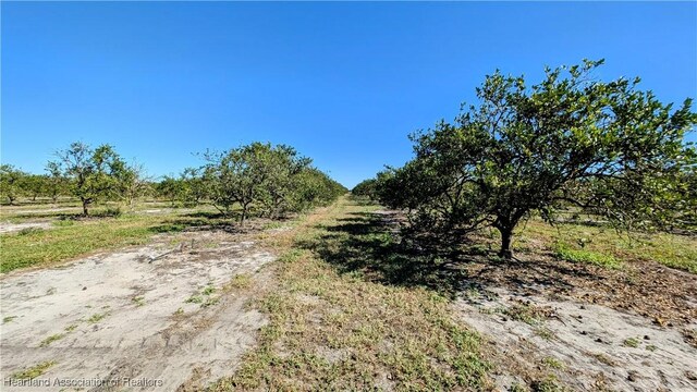 Altman Rd, Wauchula, FL 33873
